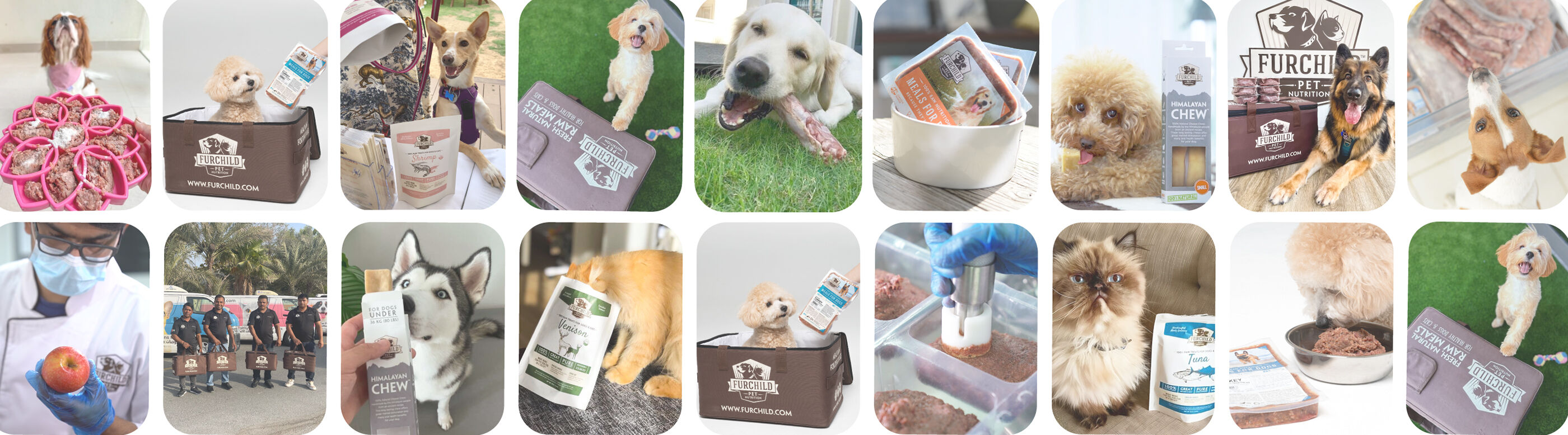 Furchild Food Stuff Supply